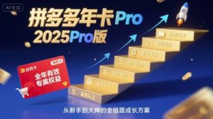 拼多多年卡2025Pro版，五大板块从认知到基础、从推广到活动、从活动到玩法-精品虚拟资源库
