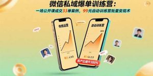 微信私域爆单训练营：一场公开课成交33单案例，99元自动训练营批量变现术-精品虚拟资源库
