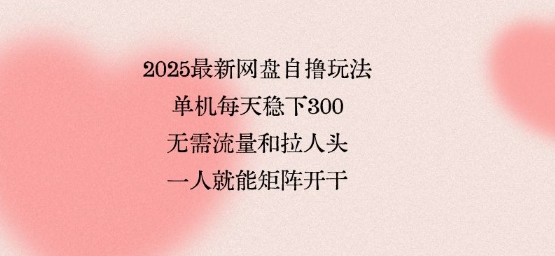 2025最新网盘自撸玩法，单机每天稳下3张，无需流量和拉人头，一个人就可轻松矩阵，全网独一份【揭秘】-精品虚拟资源库