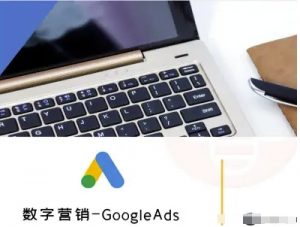 数字营销-GoogleAds-外贸跨境电商教程-精品虚拟资源库