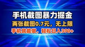 手机截图暴力掘金，两张截图0.7米，一部手机就能做，轻松日入3张+【揭秘】-精品虚拟资源库