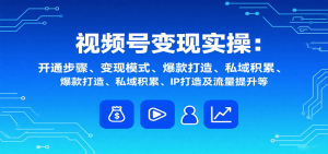 视频号变现实操，含开通步骤、变现模式、爆款打造、私域积累、IP打造及流量提升等-精品虚拟资源库
