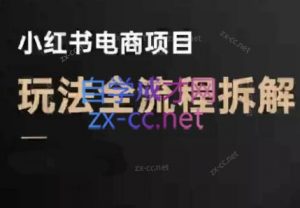 菲菲老师·小红书电商玩法(更新9月)-精品虚拟资源库