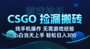 8月最新游戏搬砖，CSGO纯挂G，不需要玩游戏，实现真挂G，月入1W+【揭秘】-精品虚拟资源库