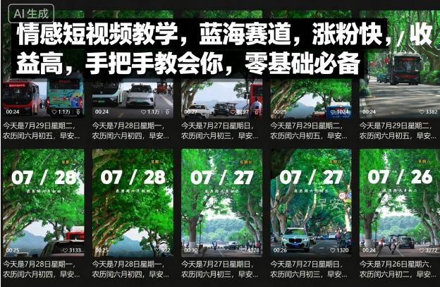 情感短视频教学，蓝海赛道，涨粉快，收益高，手把手教会你，零基础必备-精品虚拟资源库