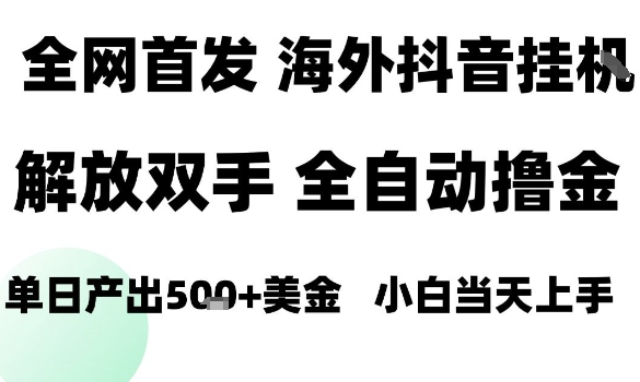 海外抖音无人直播，单日产出1.5k+，长期稳定，新手可玩，无脑操作【揭秘】-精品虚拟资源库