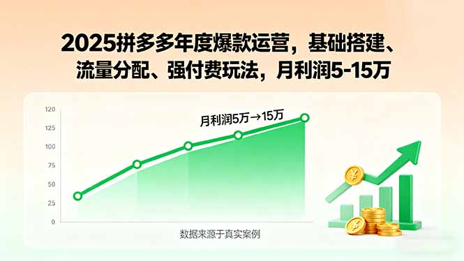 2025拼多多年度爆款运营，基础搭建、流量分配、强付费玩法，月利润5-15万-精品虚拟资源库