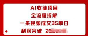 AI收徒项目全流程拆解一条视频成交35单日利润突破1k+-精品虚拟资源库