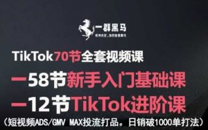 TikTok全套视频课，新手入门+进阶课，短视频ADS-GMV MAX投流打品，日销破1000单打法-精品虚拟资源库