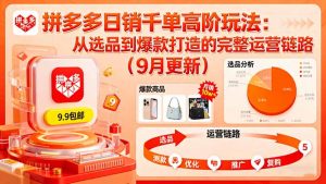 拼多多日销千单高阶玩法：从选品到爆款打造的完整运营链路(9月更新-精品虚拟资源库