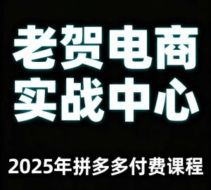 老贺电商2025年拼多多付费课程，用通俗易懂的方法告诉你多多怎么玩-精品虚拟资源库