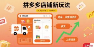 拼多多店铺新玩法，代发供应链上拼玩法-精品虚拟资源库