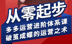 海神·拼多多运营进阶系统课(更新9月)-精品虚拟资源库