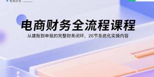 电商财务全流程课程：从建账到申报的完整财务闭环，26节系统化实操内容-精品虚拟资源库