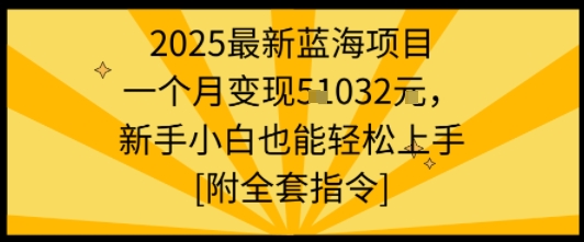 2025最新蓝海项目一个月变现1w+新手小白也能轻松上手【附全套指令】-精品虚拟资源库