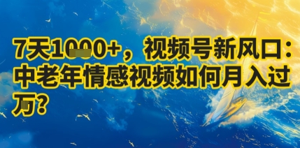 7天收益1k+，视频号新风口：中老年情感视频如何月入过W?-精品虚拟资源库