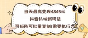 当天最高变现1k+，抖音私域新玩法，可矩阵可批量复制-精品虚拟资源库