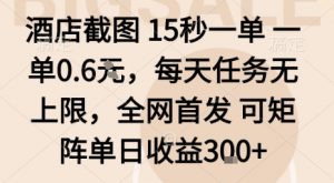 酒店截图15秒一单,一单0.6米,每天任务无上限,全网首发可矩阵单日收益3张【揭秘】-精品虚拟资源库