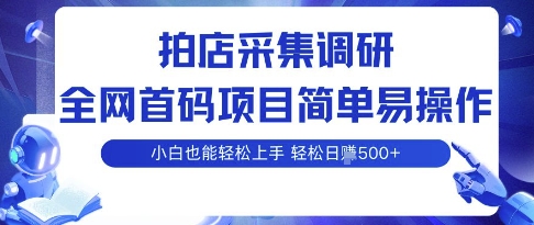 拍店采集调研，全网首码项目，简单易操作， 小白也能轻松上手，多账号操作，轻松日入5张【揭秘】-精品虚拟资源库