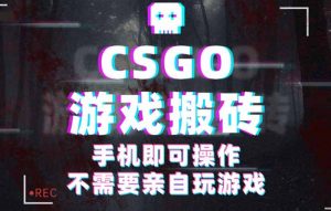 CSGO游戏挂机捡漏，单日扫货500+，年底小高峰上车可吃肉，手机即可操作...-精品虚拟资源库
