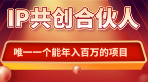 如何通过IP共创合伙人一起合伙“卖项目”-精品虚拟资源库