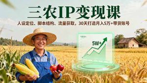 三农IP变现课,人设定位、脚本结构、流量获取,30天打造月入5万+带货账号-精品虚拟资源库