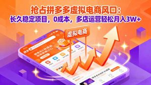 抢占拼多多虚拟电商风口：长久稳定项目，0成本，多店运营轻松月入3W+-精品虚拟资源库