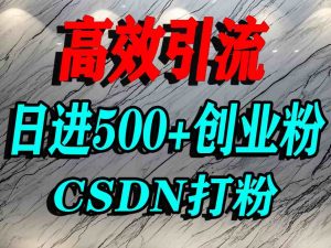 怎么打创业粉?CSDN又一个你不知道的打粉引流神秘平台,单人日引500+精准流量-精品虚拟资源库
