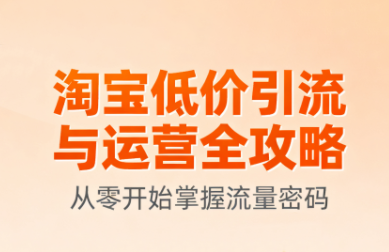 淘宝低价引流与运营全攻略(更新9月)-精品虚拟资源库