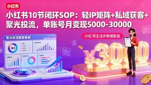 小红书10节闭环SOP：轻IP矩阵+私域获客+聚光投流，单账号月变现5000-30000-精品虚拟资源库
