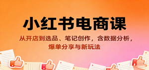 小红书电商课:从开店到选品、笔记创作,含数据分析,爆单分享与新玩法-精品虚拟资源库