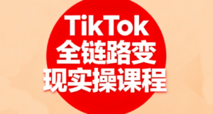 小杨老师·TikTok全链路变现实操课程-精品虚拟资源库