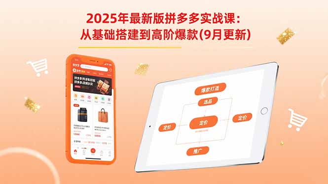 2025年最新版拼多多实战课：从基础搭建到高阶爆款(9月更新-精品虚拟资源库