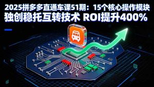 2025拼多多直通车课51期：15个核心操作模块 独创稳托互转技术 ROI提升400%-精品虚拟资源库