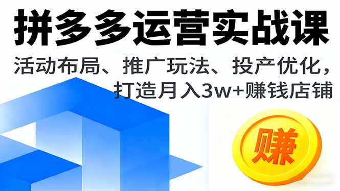 拼多多运营实战课，活动布局、推广玩法、投产优化，打造月入3w+赚钱店铺-精品虚拟资源库