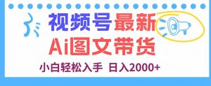 视频号最新AI图文带货，每天几分钟，小白轻松入手，日入2000+-精品虚拟资源库
