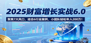 2025财富增长实战6.0，聚焦7大风口，结合6行业案例，小团队轻松年入200万！-精品虚拟资源库