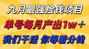 九月最强捡钱项目！ 支付宝分成代运营，我们干活，你分钱！单号月产1w+-精品虚拟资源库
