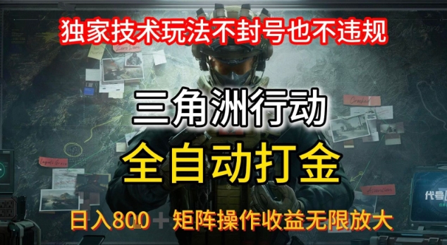 三角洲板砖揭秘项目免费送卡密-精品虚拟资源库