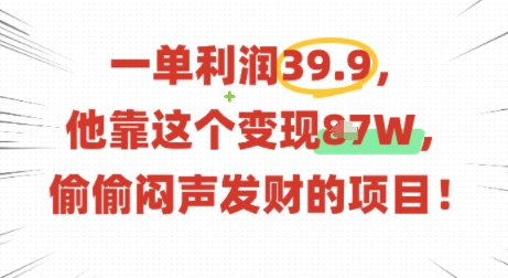 一单利润39.9，有人靠这个变现几十个，偷偷闷声发财的项目-精品虚拟资源库