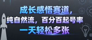 成长感悟赛道，纯自然流，百分百起号率 一天轻松多张-精品虚拟资源库