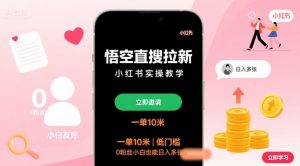 悟空直搜拉新小红书实操教学，一单10米，低门槛，0粉丝小白也能日入多张-精品虚拟资源库