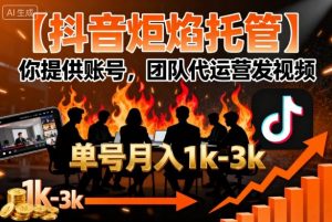 【抖音炬焰托管】你提供账号，团队代运营发视频，单号月入1k+【揭秘】-精品虚拟资源库