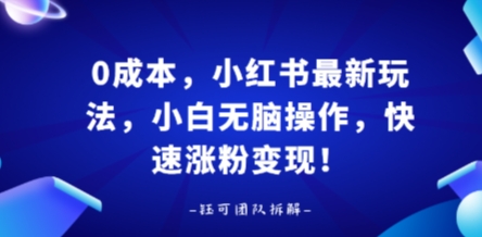 0成本，小红书最新玩法，小白无脑操作，快速涨粉变现-精品虚拟资源库
