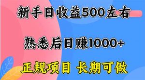 新手日收益500+ 正规项目 长期可做-精品虚拟资源库