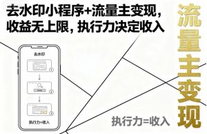 去水印小程序+流量主变现，收益无上限，执行力决定收入-精品虚拟资源库