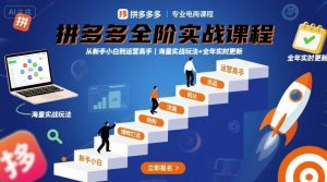 拼多多全阶实战课程，从新手小白到运营高手，海量实战玩法+全年实时更新【2025年9月更新】-精品虚拟资源库