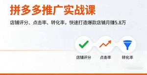 拼多多推广实战课，店铺评分、点击率、转化率，快速打造爆款店铺月赚5.8万-精品虚拟资源库