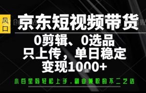 你出账号，我来运营，保底日入1k+，开启躺賺模式【揭秘】-精品虚拟资源库