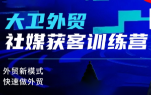 大卫老师·外贸社媒获客独家训练营(更新10月)-精品虚拟资源库